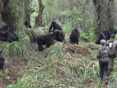 best national parks to visit