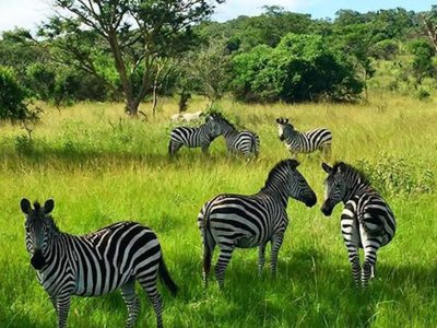 Uganda travel guide and destinatiosn