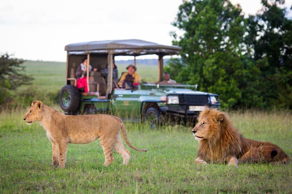 kenya destinations and safaris guide