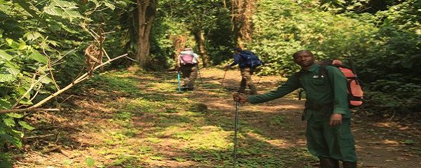 3 Days Mahoma Loop Rwenzori Nature walk camping trail