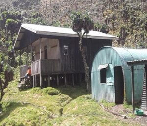 4 days rwenzori hike to Bujuku camp, Bujuku hut
