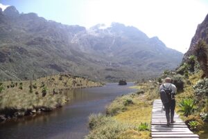 5 Days Rwenzori hiking with Mount Speke summit