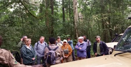 Accommodation in Rushaga sector of Bwindi forest