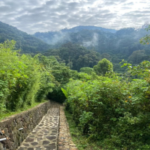 Four gorillas lodge rushaga bwindi 2