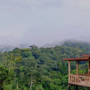 Bweza gorilla lodge rushaga Bwindi balcony views