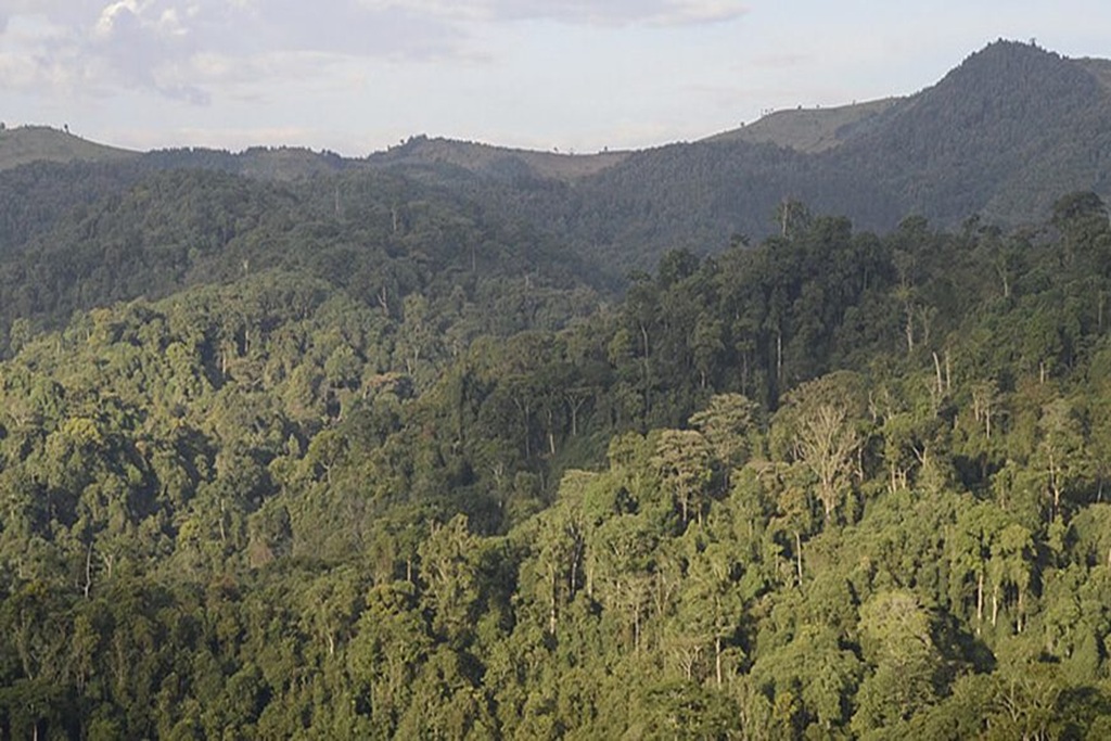 Gishwati Mukura National Park