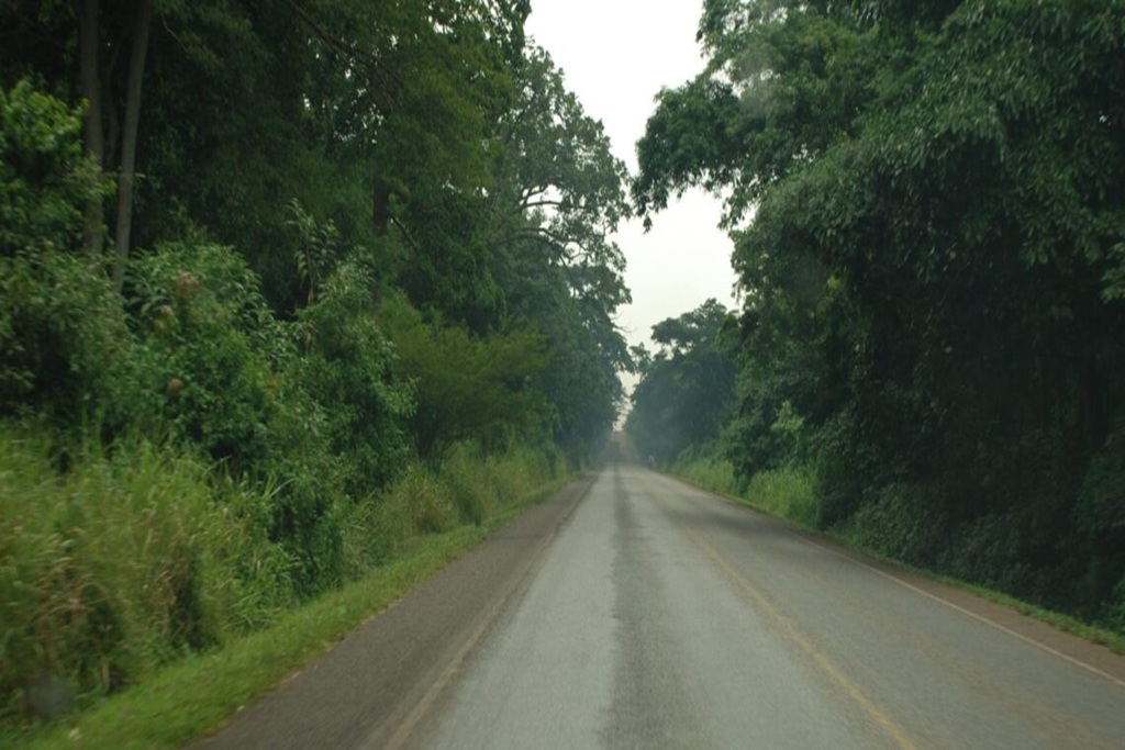 Mabira Forest Reserve