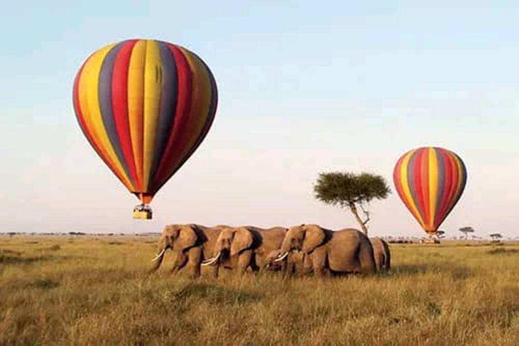 Hot Air Ballon Safaris in Masai Mara National Reserve