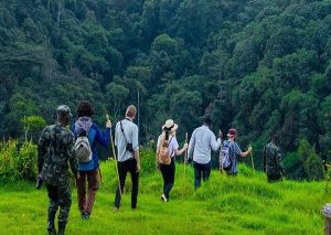 Hiking in Rwanda