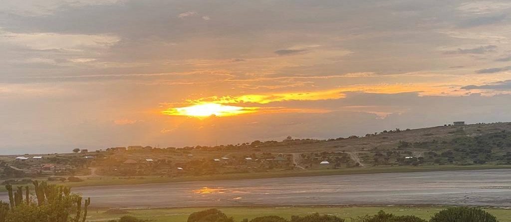 Flamingo watching in lake munyanyange