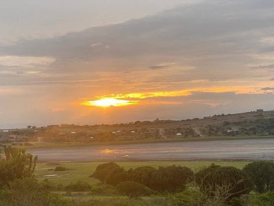 Flamingo watching in lake munyanyange