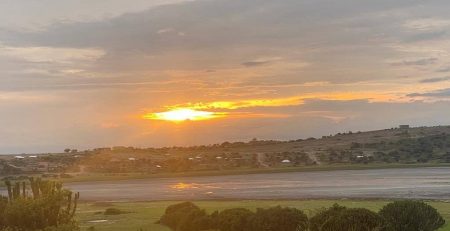 Flamingo watching in lake munyanyange