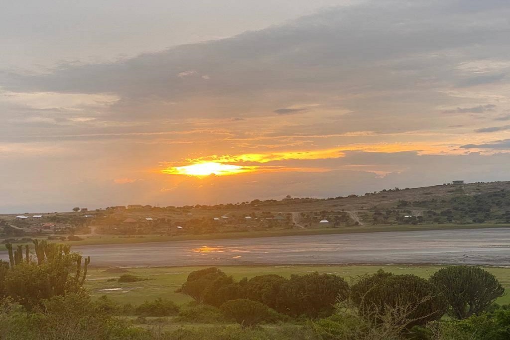 Flamingo watching in lake munyanyange
