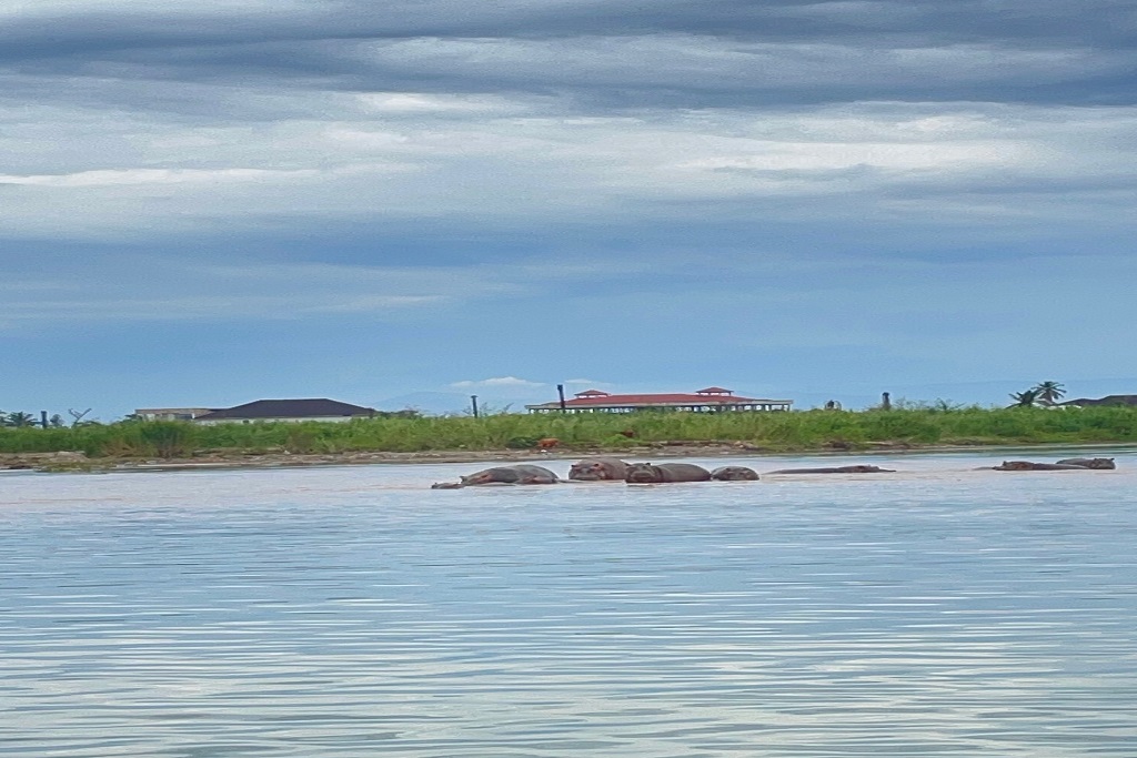 Rusizi National Park