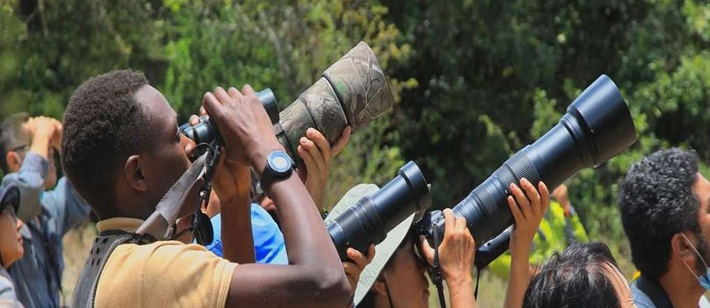 Top bird watching spots in Rwanda