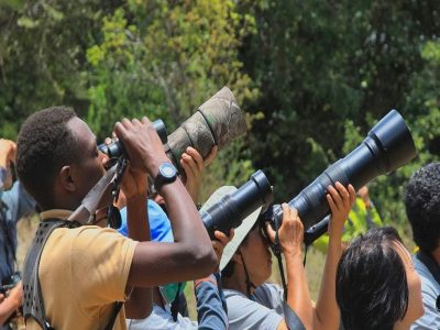 Top bird watching spots in Rwanda