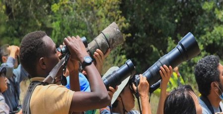 Top bird watching spots in Rwanda