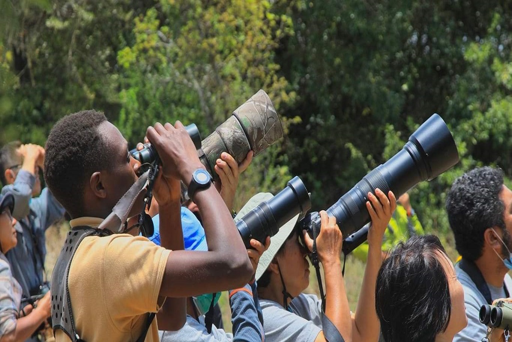 Top bird watching spots in Rwanda