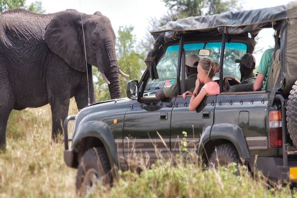 Activities to do in Arusha