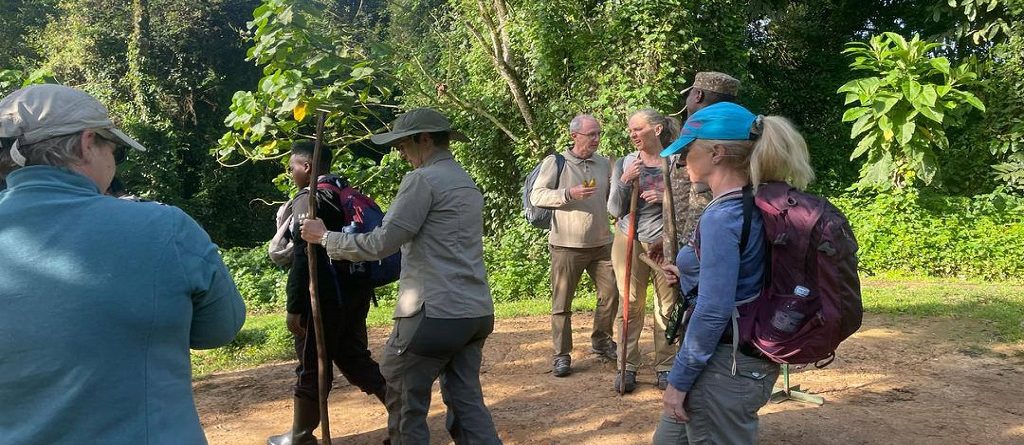 Uganda Gorilla Tracking Tipping Guide