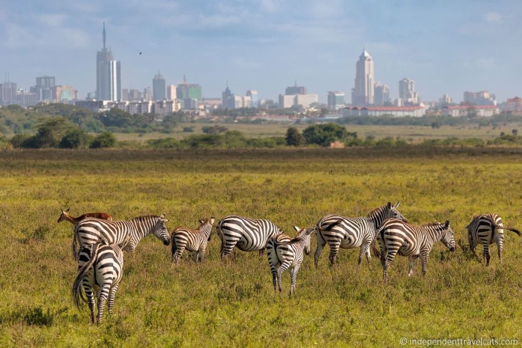 Nairobi City Tour and What to Expect