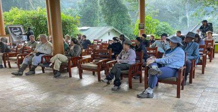Reasons Why You Should Trek Gorillas in Uganda