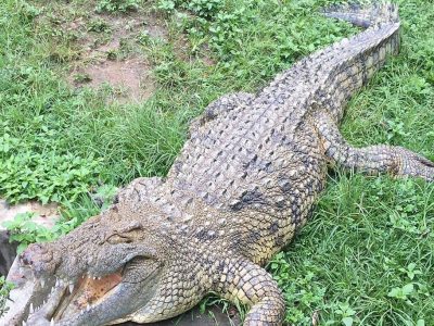 Reptile Park in Burundi