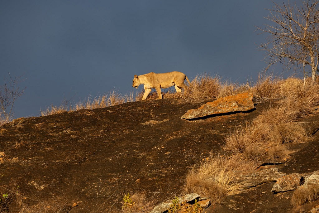 Taita Hills Wildlife Sanctuary