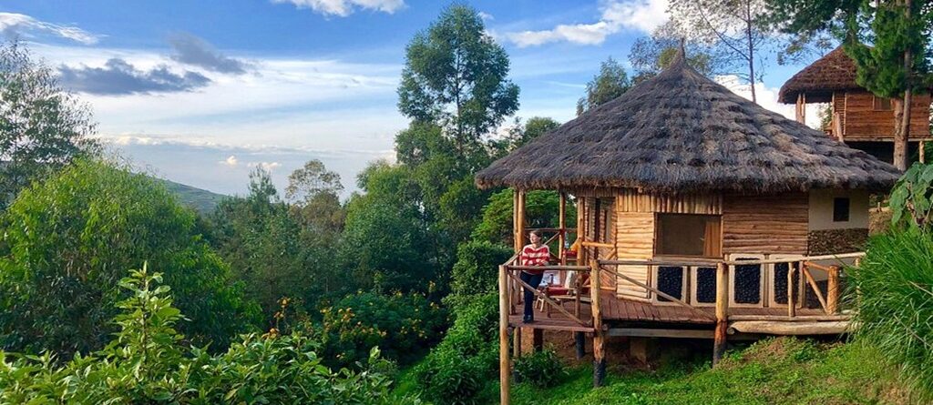 A Complete Guide to Uganda's Eco Lodges