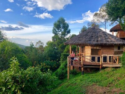A Complete Guide to Uganda's Eco Lodges