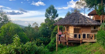 A Complete Guide to Uganda's Eco Lodges
