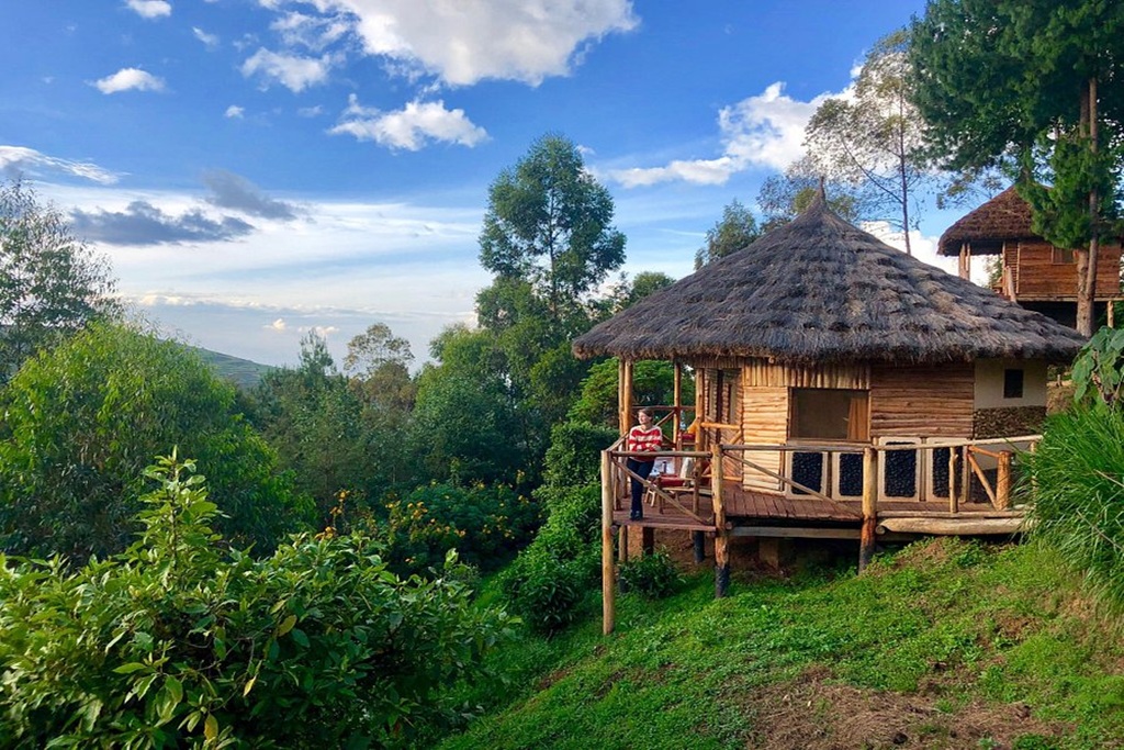 A Complete Guide to Uganda's Eco Lodges