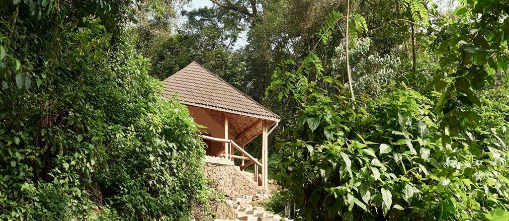 Best Five Gorilla Safari Lodges in Uganda
