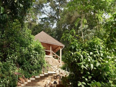 Best Five Gorilla Safari Lodges in Uganda