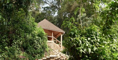 Best Five Gorilla Safari Lodges in Uganda