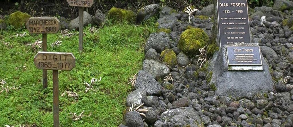 Guide to Dian Fossey Hike