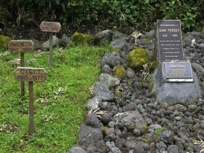 Guide to Dian Fossey Hike
