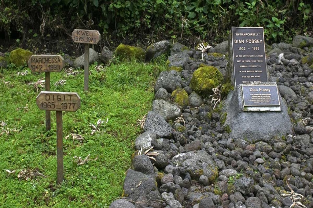 Guide to Dian Fossey Hike