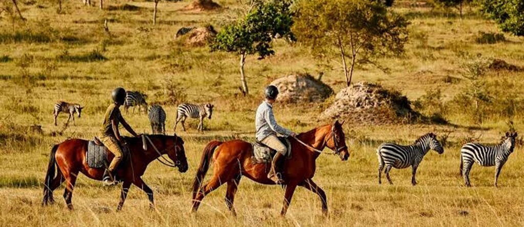 Horseback Safaris in Lake Mburo National Park