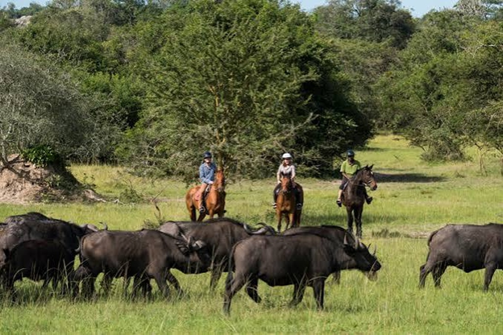 Horseback Safaris in Lake Mburo National Park