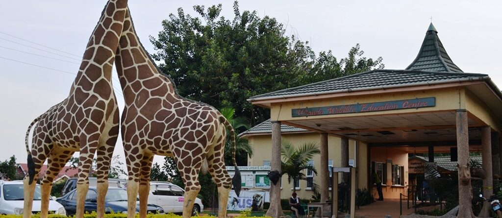 Things to Do at Uganda Wildlife Education Centre