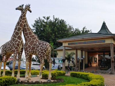 Things to Do at Uganda Wildlife Education Centre
