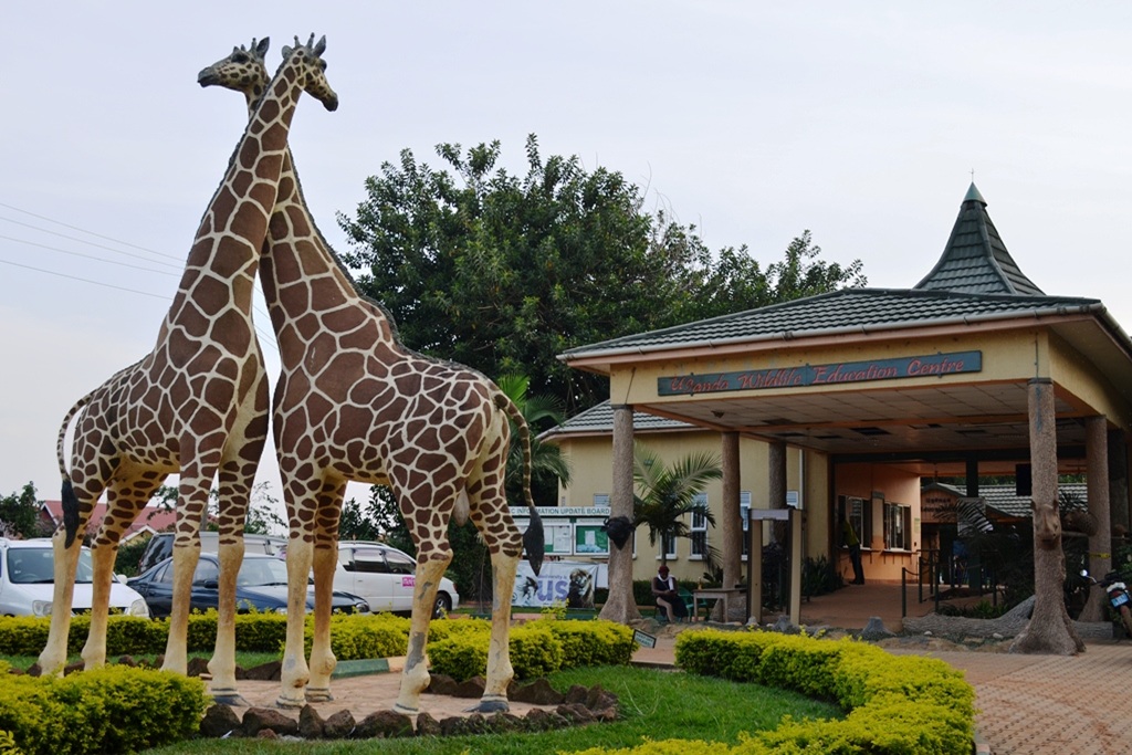 Things to Do at Uganda Wildlife Education Centre
