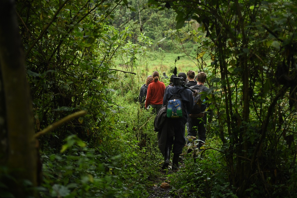 Where to Go for Nature Walks in Uganda