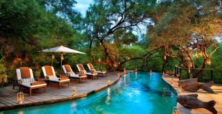 Where to Go for a Honeymoon Safari in Rwanda