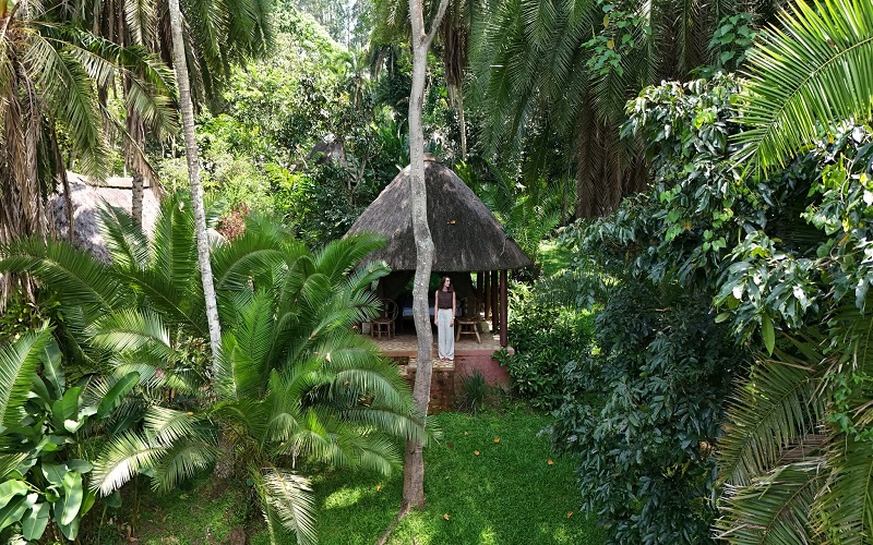 Accommodations in Kibale National Park: A Complete Guide to Where to Stay