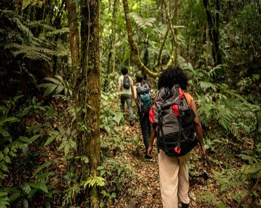 Packing List for a Uganda Safari: Everything You Need and anything You Don't Need.