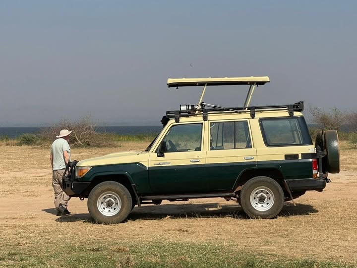 Tips for Self-Drive Safaris in Uganda