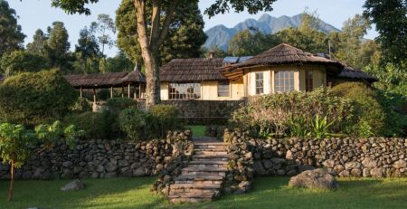 Accommodations in Mgahinga Gorilla National Park: A Complete Guide to Where to Stay