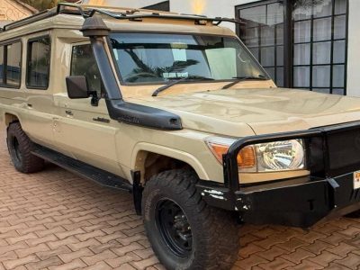Tips for Self-Drive Safaris in Uganda